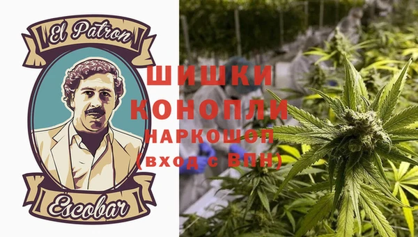 гидра Арсеньев
