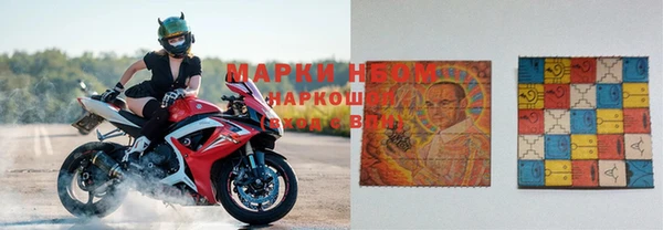 прущий лед Алзамай