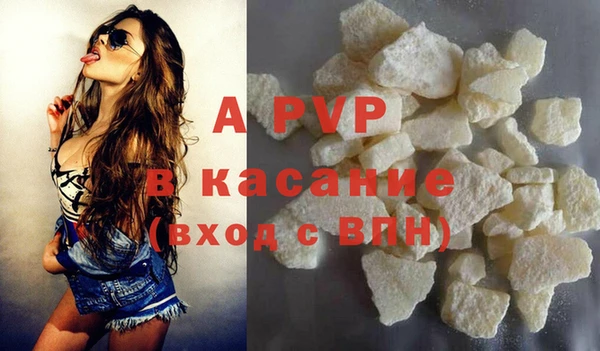 сатива Аркадак