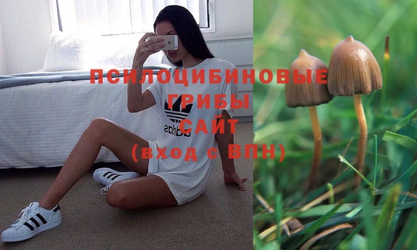 гидра Арсеньев