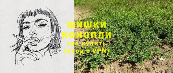 гидра Арсеньев